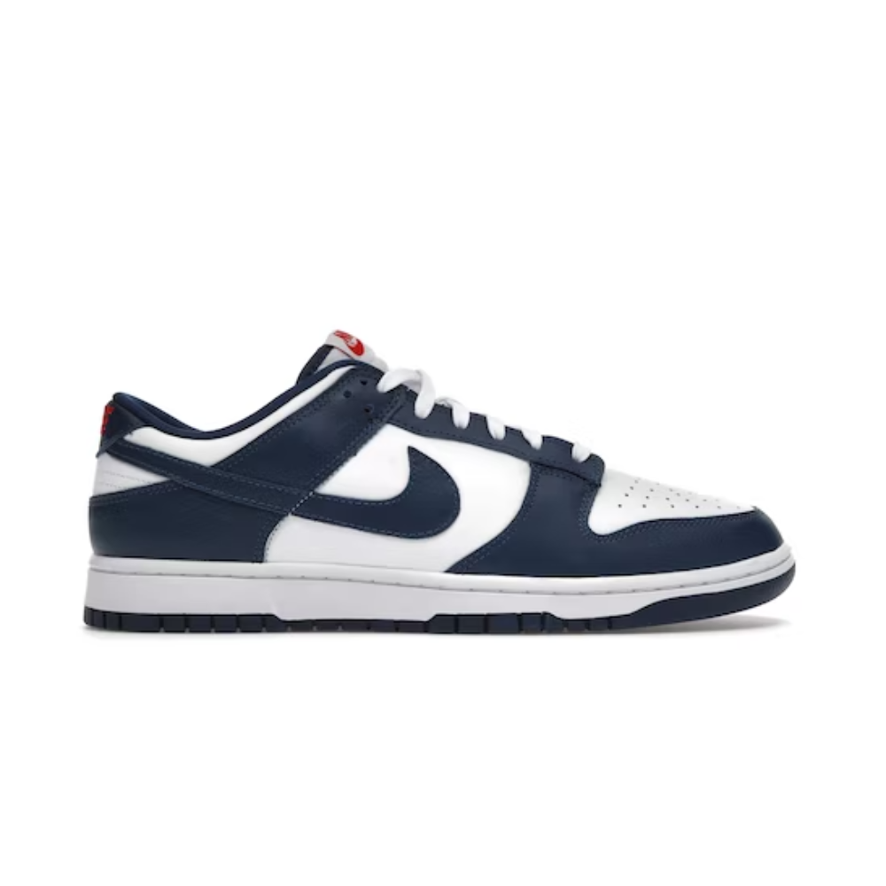 Nike Dunk Low Valerian Blue